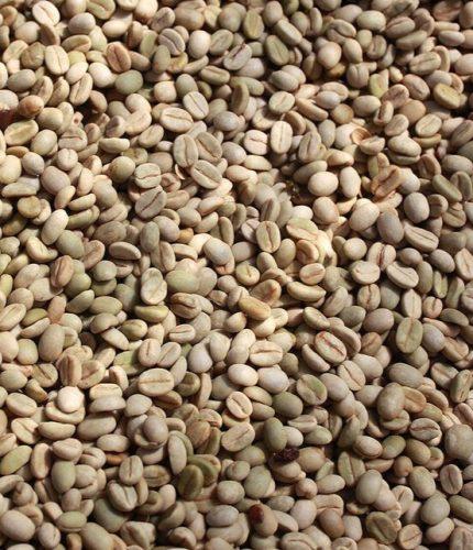 Colombian coffee beans