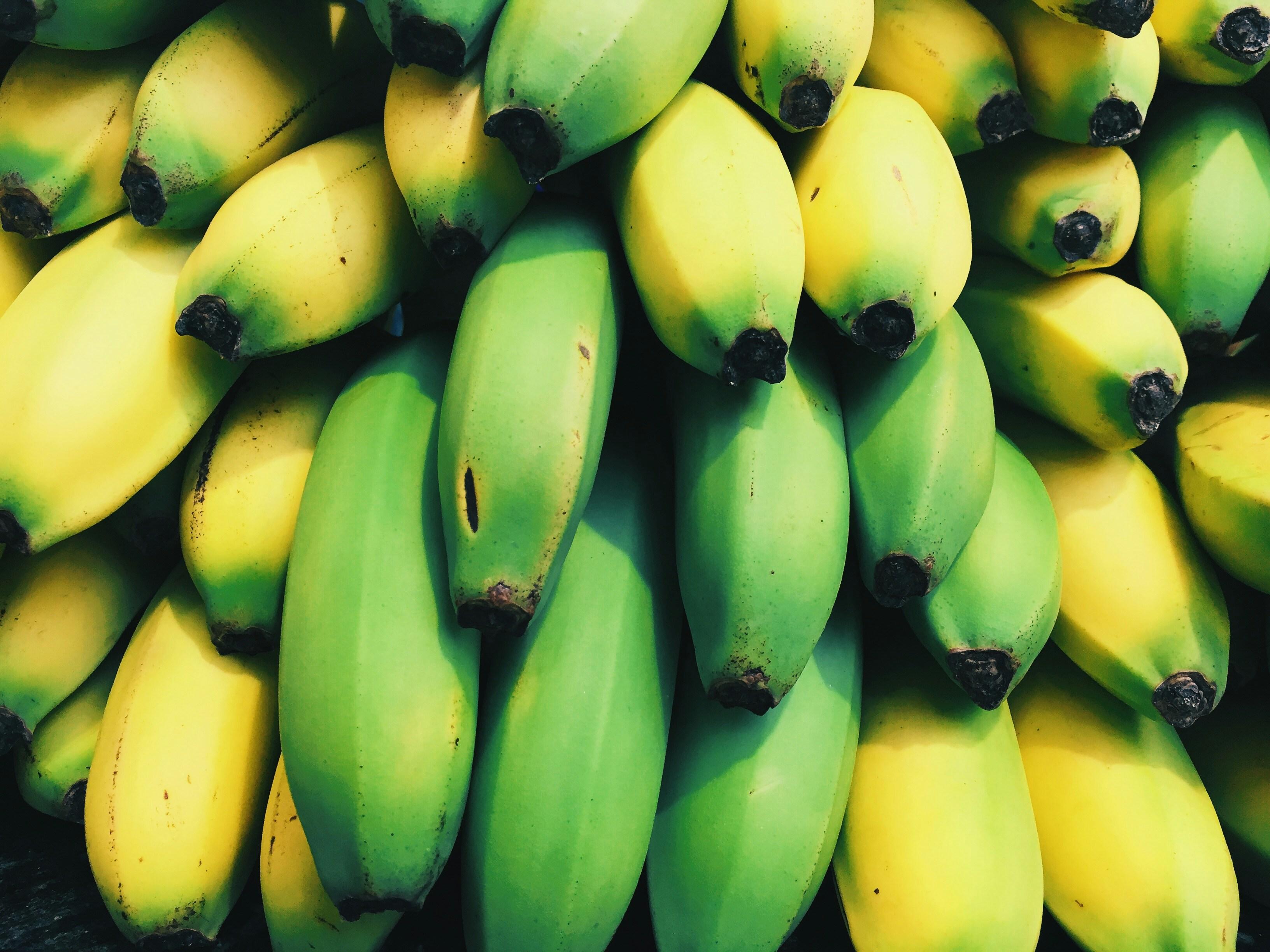 Harton Plantain