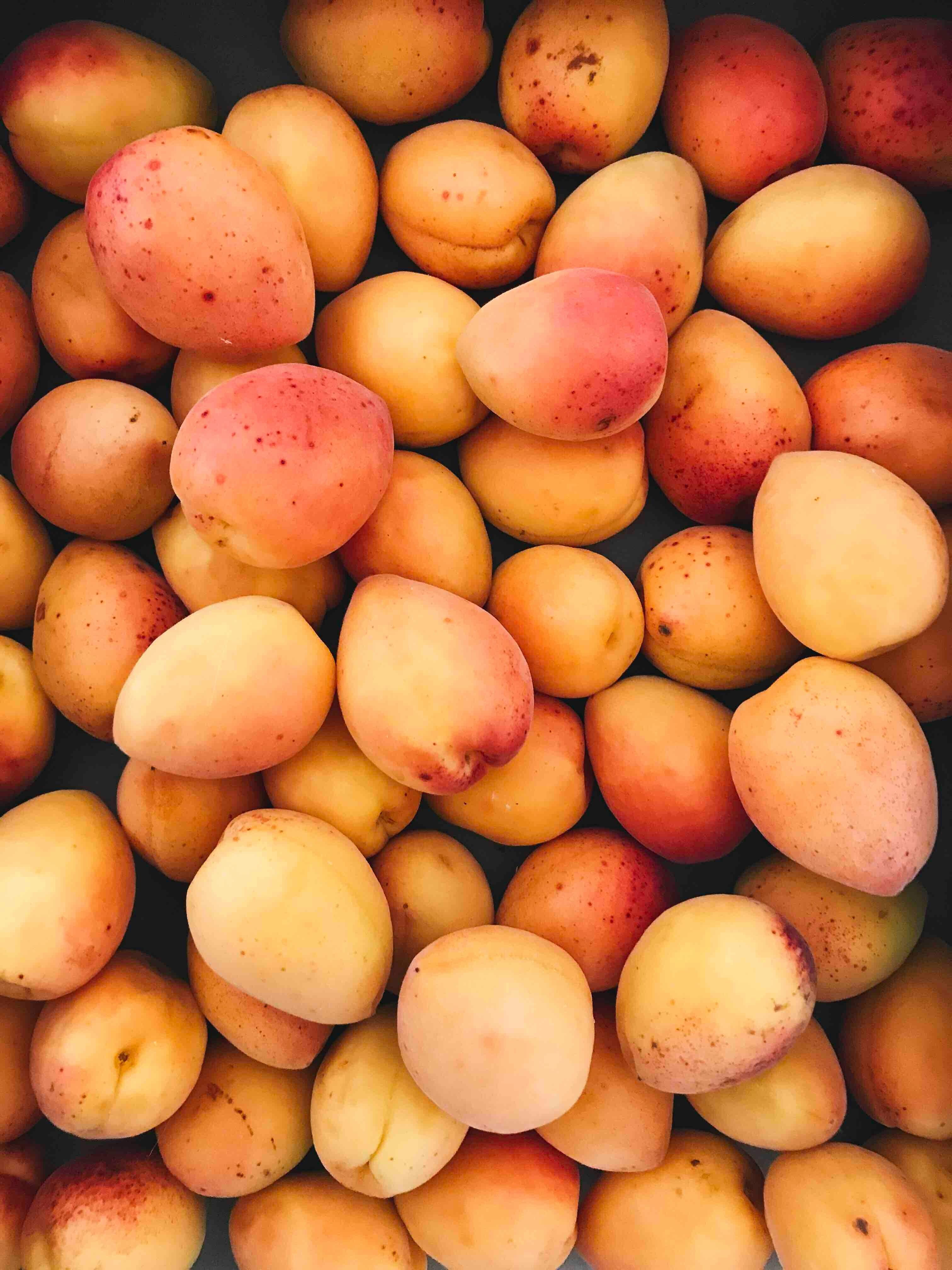 Tommy Mango