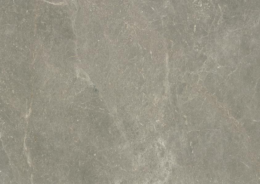Dove Grey