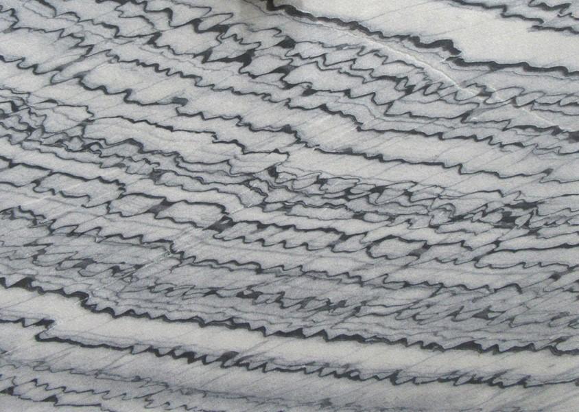 Zebra Leather